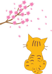 猫と桜
