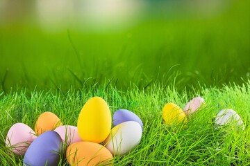 painted colored easter eggs in forest