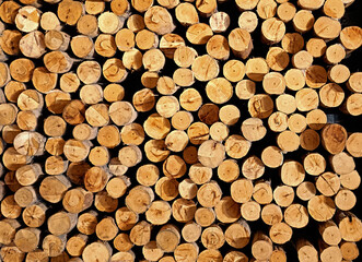cut log wood for background