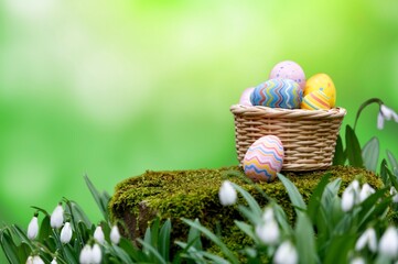 painted colored easter eggs in forest