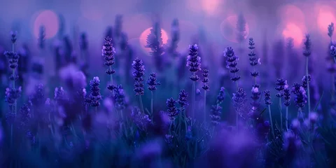 Foto op Plexiglas Dreamy purple lavender blooms under a mystical twilight sky, bokeh lights adding a magical atmosphere. © tashechka
