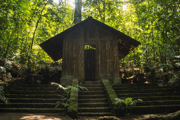 Wooden hut in the rainforest with stone steps.
