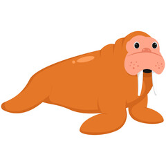 Cute Walrus Sea Animals Illustration