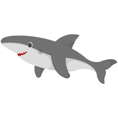 Cute Shark Sea Animals Illustration