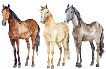 une collection d image d arriere plan de page de scrapbooking composee d un decor de chevaux sauvage, peint a l aquarelle - obrazy, fototapety, plakaty