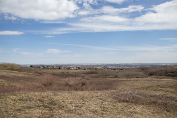 Scattered Houses in a Field