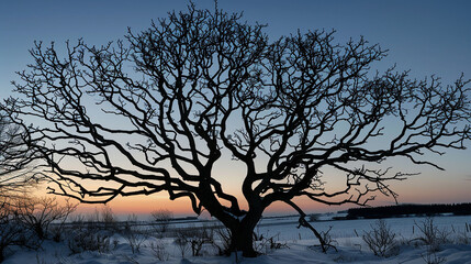 The silhouette of a leafless tree in winter, its branches like the network of veins in a hand, captured against the stark contrast of a snowy landscape at twilight. 32k, full ultra hd, high resolution
