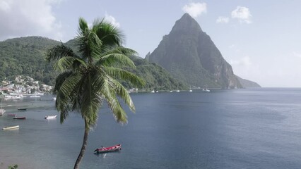 Aerial drone video of swaying palm tree in the wind at Soufriere beach on Saint Lucia.  Petit Piton is in the background.