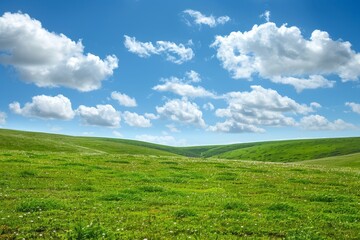 Obraz premium Meadows with blue sky and clouds