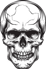 Human skull illustration. Monochrome hand-drawn skull on black and white backgrounds. Vector