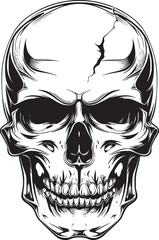 Human skull illustration. Monochrome hand-drawn skull on black and white backgrounds. Vector