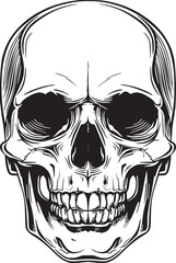 Human skull illustration. Monochrome hand-drawn skull on black and white backgrounds. Vector