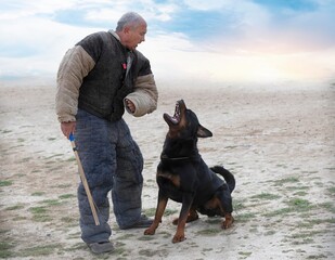 training of  rottweiler - 792355816