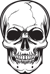 Human skull illustration. Monochrome hand-drawn skull on black and white backgrounds. Vector