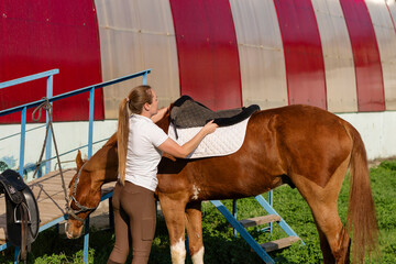 Equestrian adjusting saddle on horse