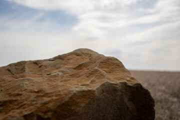 Textured Rock on Sandy Ground