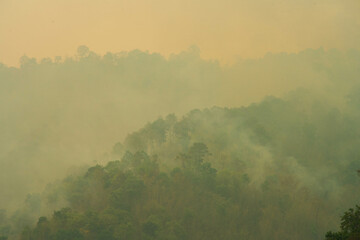 Mountain forest fires are the main problem of PM2.5 in northern Thailand.