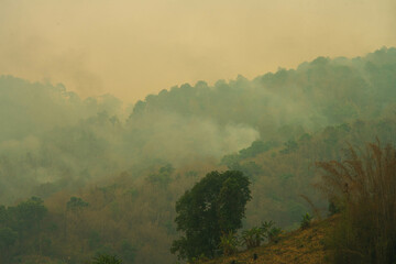 Mountain forest fires are the main problem of PM2.5 in northern Thailand.