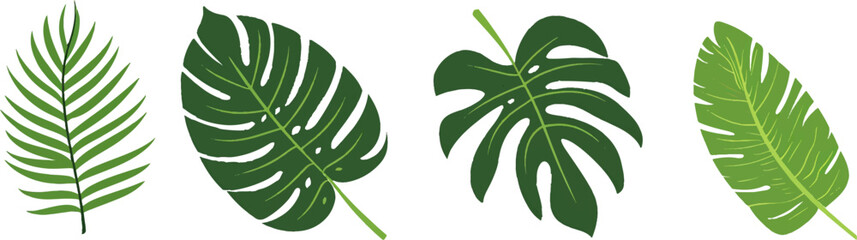 Set of vector tropical leaves and palm fronds on a white background