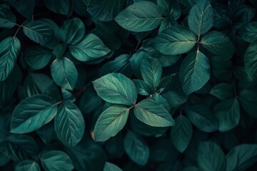 Nature of dark green leaf in garden. Natural green leaves plants using background cover page environment ecology or greenery wallpaper - generative ai - obrazy, fototapety, plakaty