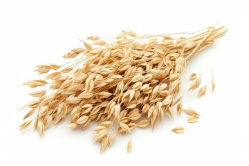 Isolated oat on white background