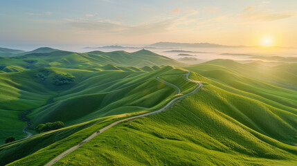Fototapeta premium Aerial view of tranquil sunrise over verdant rolling hills with a meandering path through lush greenery