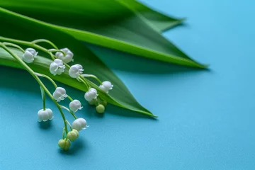 Foto auf Glas Lily of the Valley flowers on a green leaf left side blue background space for text Spring and summer theme © The Big L