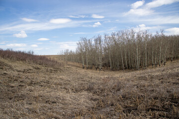 Open Field with Dry Grass Hillside