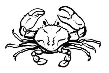 Crab in black outlines isolated on white background.Hand drawn vector illustration. Design for seafood menu, coastal decor. Marine life and cuisine concept.
