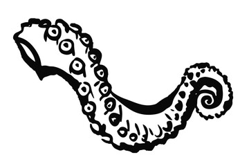 Octopus tentacle in hand drawn illustration on white background. Design for marine life artwork, tattoo concept, and nautical-themed graphic design