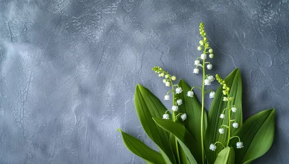  May 1st in France lilies of the valley symbolize the day Le jour du Muguet on a gray background © The Big L