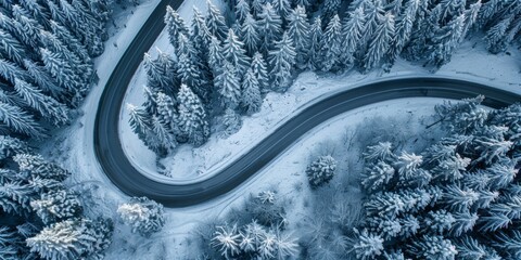 Aerial view of a curvy road snaking through a dense snowy forest in winter. - Powered by Adobe