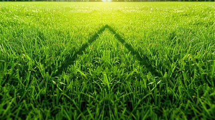 Tuinposter This is an image of a green grassy field. The grass is wet and there is a small hill in the middle of the field. There are trees in the background and the sun is shining brightly. © Awais