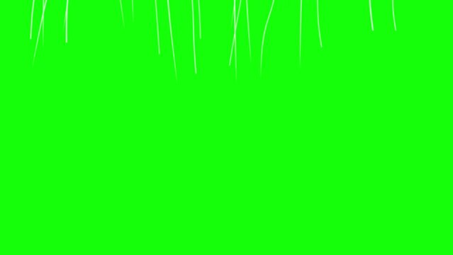 Colorful balloons flying in the air. Flying balloons. Multicolored balloons. Balloons rising in the air. Balloon on green screen. Balloon Transition.