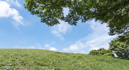 春・夏　煽りで見上げた丘・土手の野原...