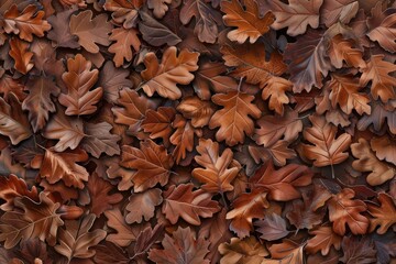 A close up of brown leaves on a ground