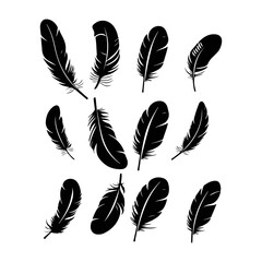 Feather silhouette. Hand drawing sketch of feather icons and vector illustration
