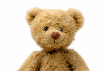 Teddy bear isolated on white background