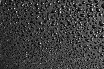 Water drops on a black background. Texture