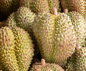 Durian fruit as background. Close-up - 792419222