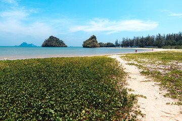summer day sea beach scenery Grass and small islands at the sea