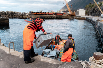 Fishermen unloading crates of freshly caught lobsters at the port
