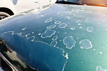 Damaged varnish peels off the hood of an old car, possibly the consequences of hail or poor quality...