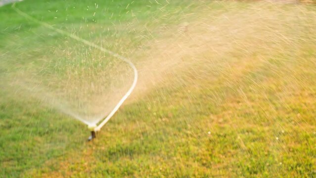 A hose connected to a sprinkler for watering grass. Summer lawn care