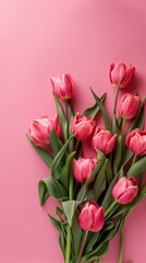 Obraz premium Pink Tulips Bouquet on Pink Background