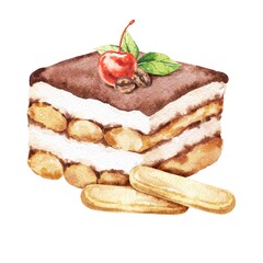 Tiramisu slice cake with berries watercolour food illustration 