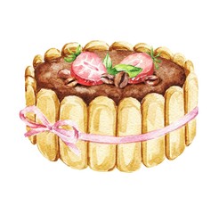Tiramisu cake dessert food watercolour illustration 