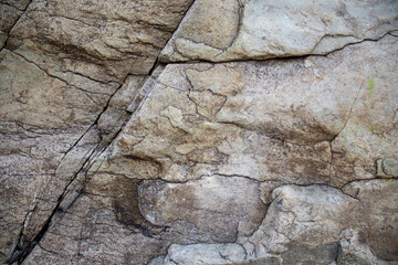 Textured Brown and White Stone Surface