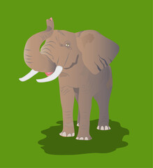 Young elephant trumpeting. Realistic style vector illustration isolated on green background.