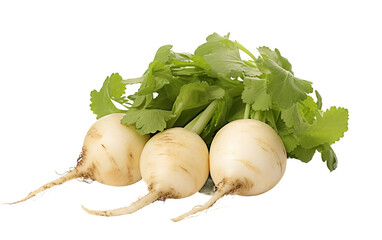 Tiny Baby Turnips Isolated On Transparent Background PNG.